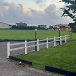 Estudios En *