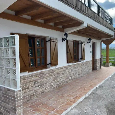 Estudios En * Loredo