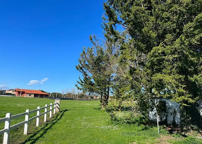 Lejlighed Estudios En *