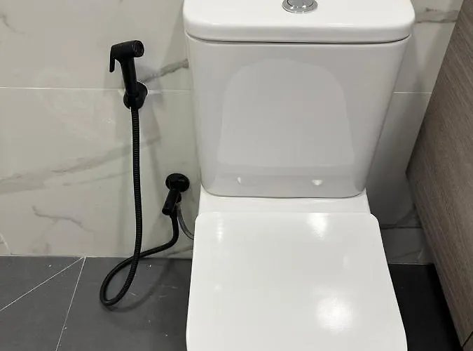 Estudios En * Loredo